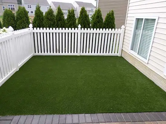 pet-turf-t-3-swg pet-turf-t-3-swg
