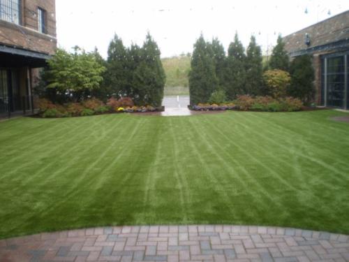 lawn7